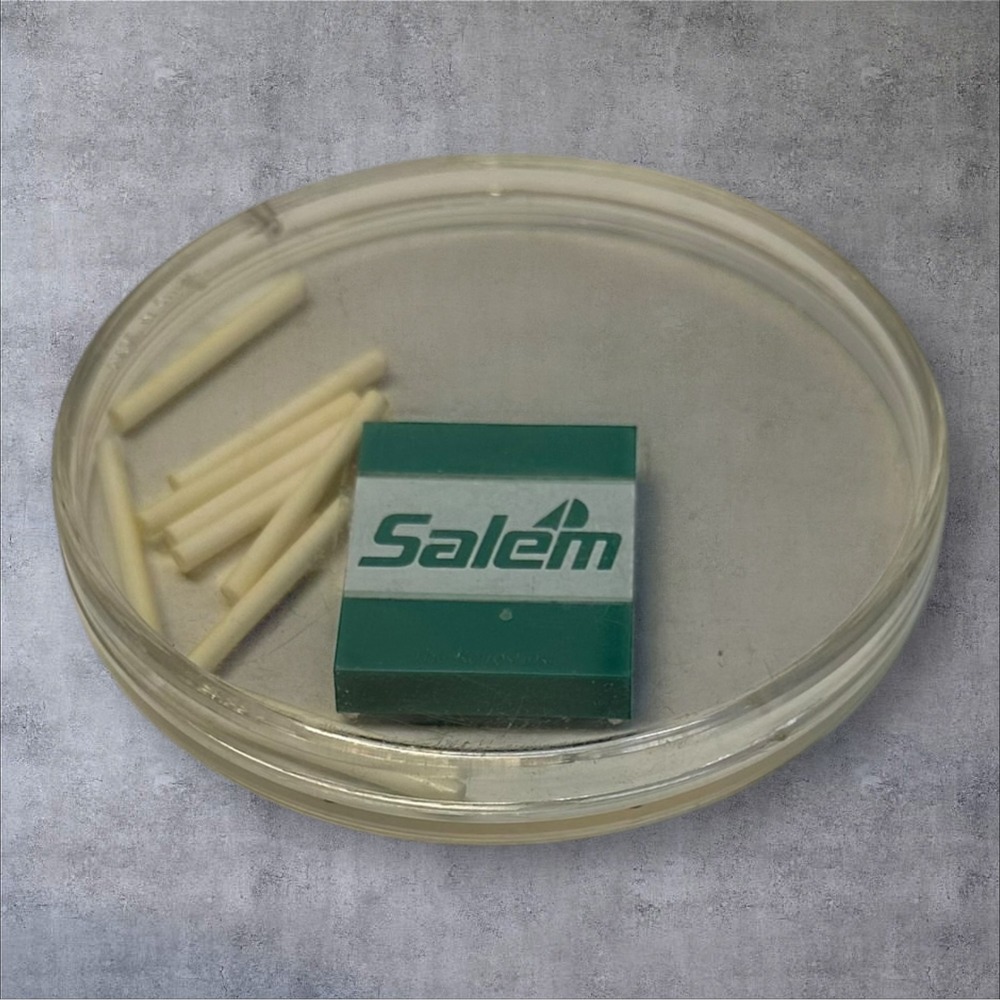 Vintage Salem Cigarettes Green Travel Game Promo Advertising